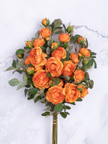Róża Gałązka EXCLUSIVE KR7 # Pomarańcz*1500 (6 szt)