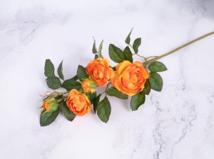 IMG_1122.jpg