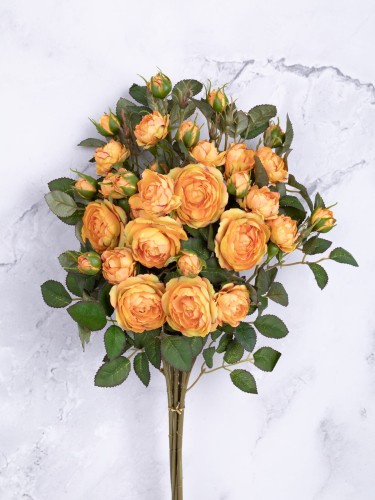 Róża Gałązka EXCLUSIVE KR7 # Pomarańcz Stonowany*2539 (6 szt)