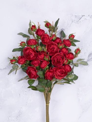Róża EXCLUSIVE/Gałązka KR7 # Czerwień*2137 (6 szt)