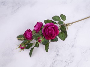 IMG_1151.jpg