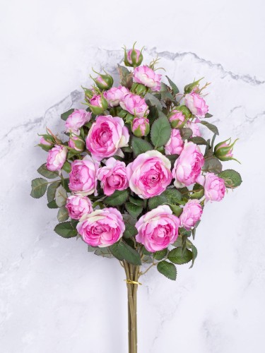 Róża Gałązka EXCLUSIVE KR7 # Róż*2544 (6 szt)