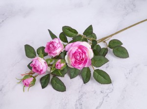 IMG_1114.jpg
