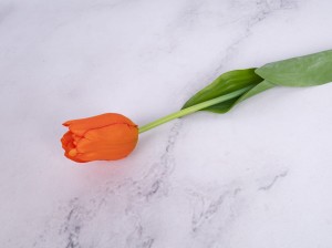 IMG_1285.jpg
