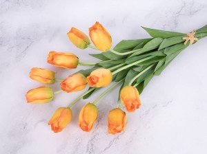 IMG_1227.jpg