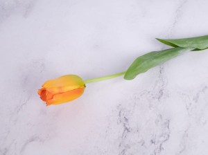 IMG_1276.jpg