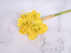 IMG_1294.jpg