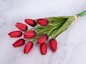 IMG_1365.jpg