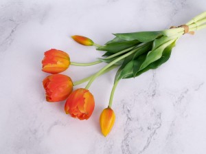 IMG_1402.jpg