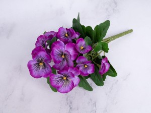 IMG_1495.jpg