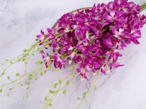 IMG_1586.jpg