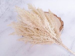 IMG_1644.jpg