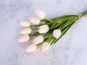 IMG_1697.jpg