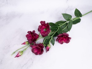 IMG_1817.jpg