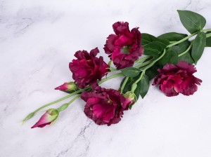 IMG_1818.jpg