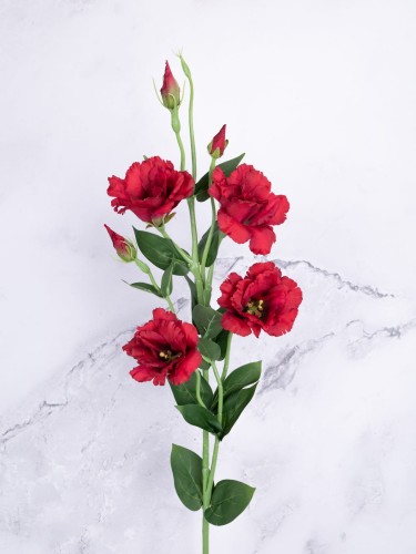 Eustoma Gałązka EG345 # Czerwień/Rubin