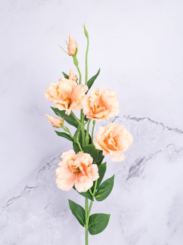 Eustoma Gałązka EG345 # Brzoskwinia