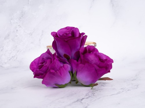Róża Wyrobowa TR78 # Purpura/Fiolet (12 szt)