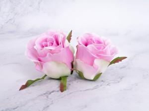 IMG_1791.jpg