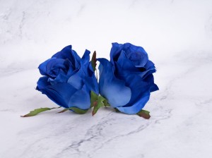 IMG_1790.jpg