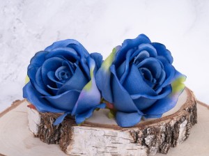IMG_1868.jpg