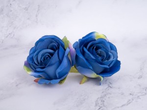 IMG_1879.jpg
