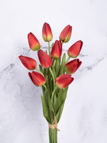 Tulipan Satyna/Wiązka T02 # Czerwień (10 szt)