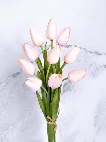 Tulipan Satyna/Wiązka T02 # Jasny Pudrowy Róż (10 szt)