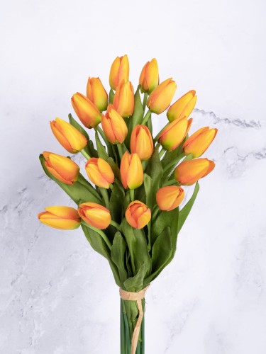 Tulipan Satyna/Wiązka T67 # Pomarańcz Cieniowany (20 szt)