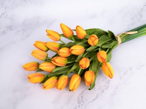 IMG_2221.jpg