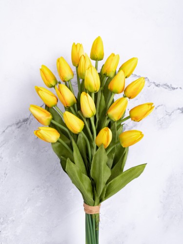 Tulipan Satyna/Wiązka T67 # Żółty (20 szt)