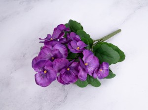 IMG_2200.jpg