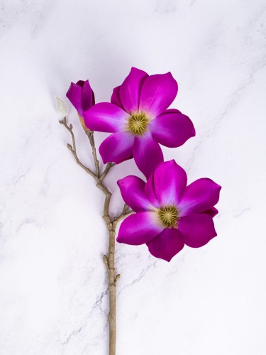 Magnolia Gałązka 06MG # Purpurowy/Fiolet (1 szt)