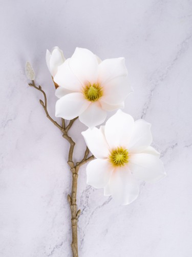 Magnolia Gałązka 06MG # Jasna Brzoskwinia (1 szt)