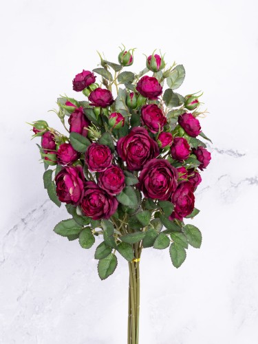 Róża Gałązka EXCLUSIVE KR7 # Burgund*3003 (6 szt)