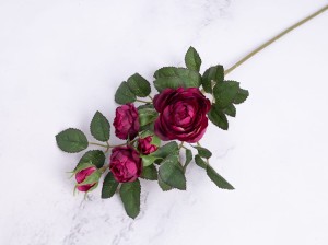 IMG_2514.jpg