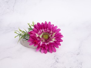 IMG_2685.jpg