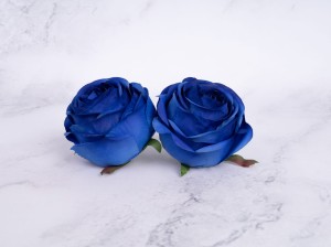 IMG_2730.jpg