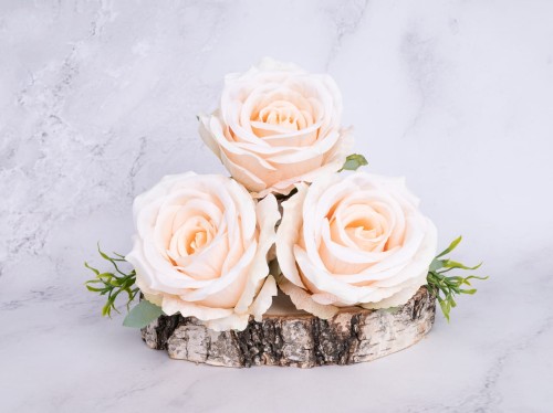 Róża Wyrobowa RW46 # Pastelowa Brzoskwinia*6 (12 szt)