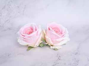 IMG_2801.jpg