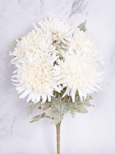 Bukiet ASTER # KREM