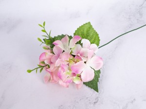 IMG_2945.jpg