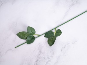 IMG_2999.jpg
