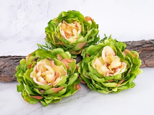 Peonia Wyrobowa L60 # Zieleń/Brzoskwinia*51 (12 szt)