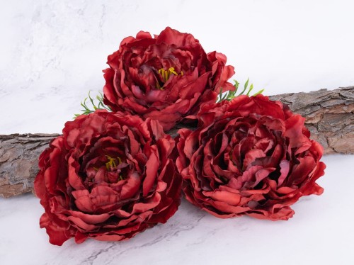 Peonia Wyrobowa L60 # Przygaszona Czerwień/Bordo*53 (12 szt)
