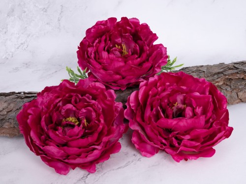 Peonia Wyrobowa L60 # Fuksja*54 (12 szt)