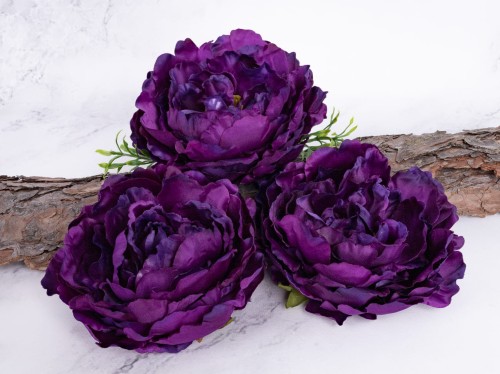 Peonia Wyrobowa L60 # Piękny PURPUROWY*46 (12 szt)