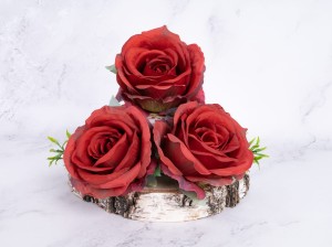 IMG_3158.jpg