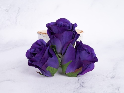 Roża Wyrobowa TR78 # Piękny Ciemny Fiolet/Purpurowy