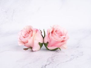 IMG_4786.jpg